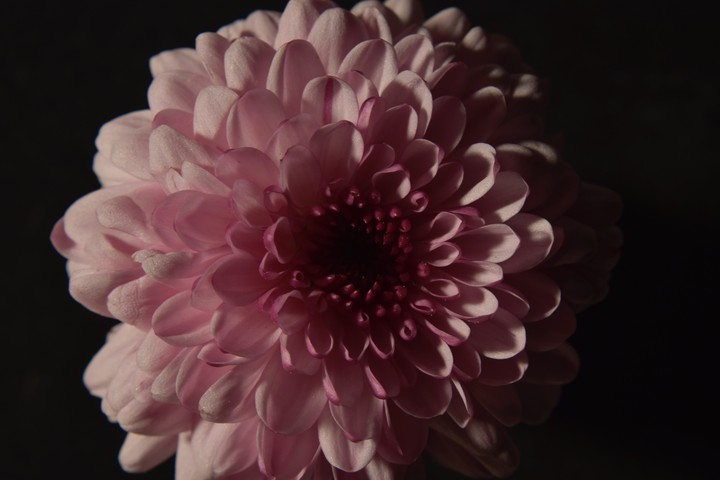Macro