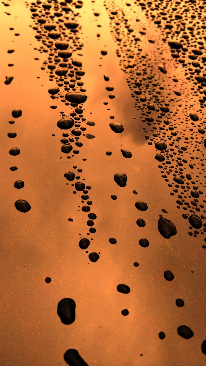 asteroid belt