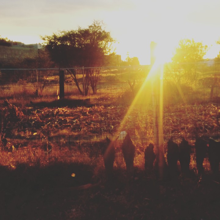 Sunset