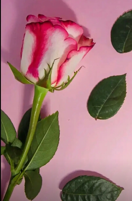 For u