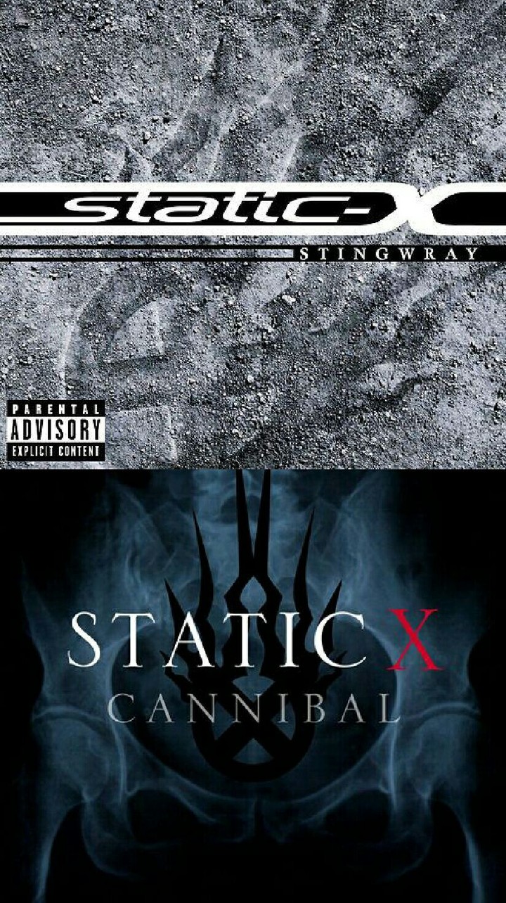 Static-X Single