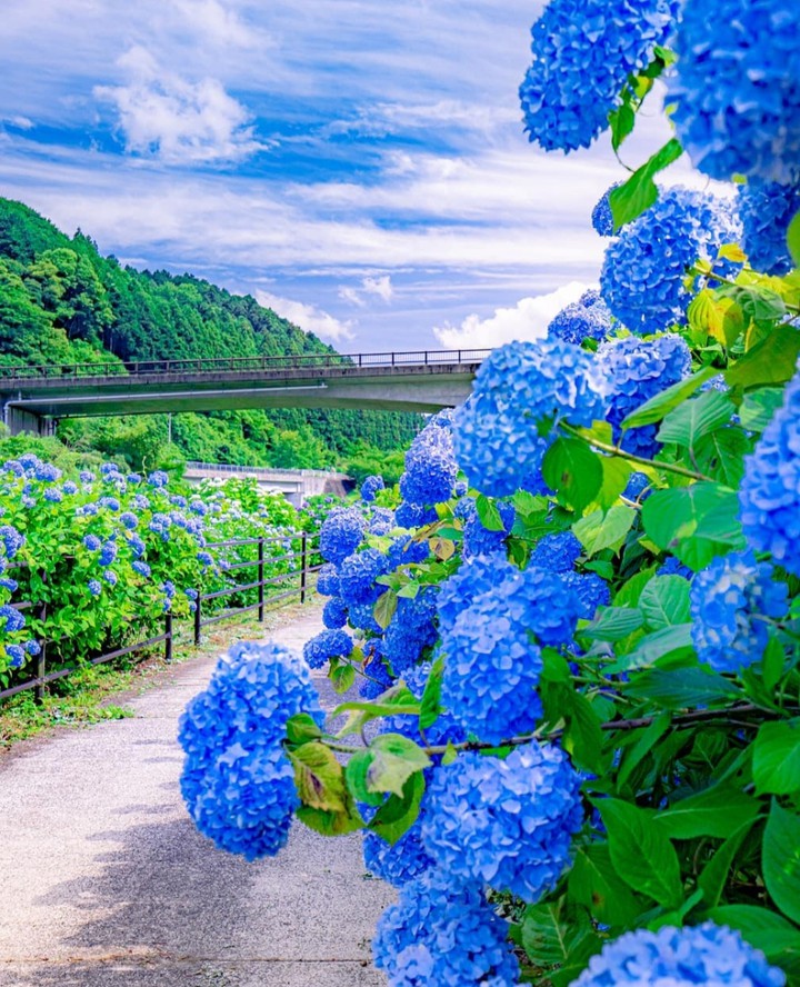 lovely day...