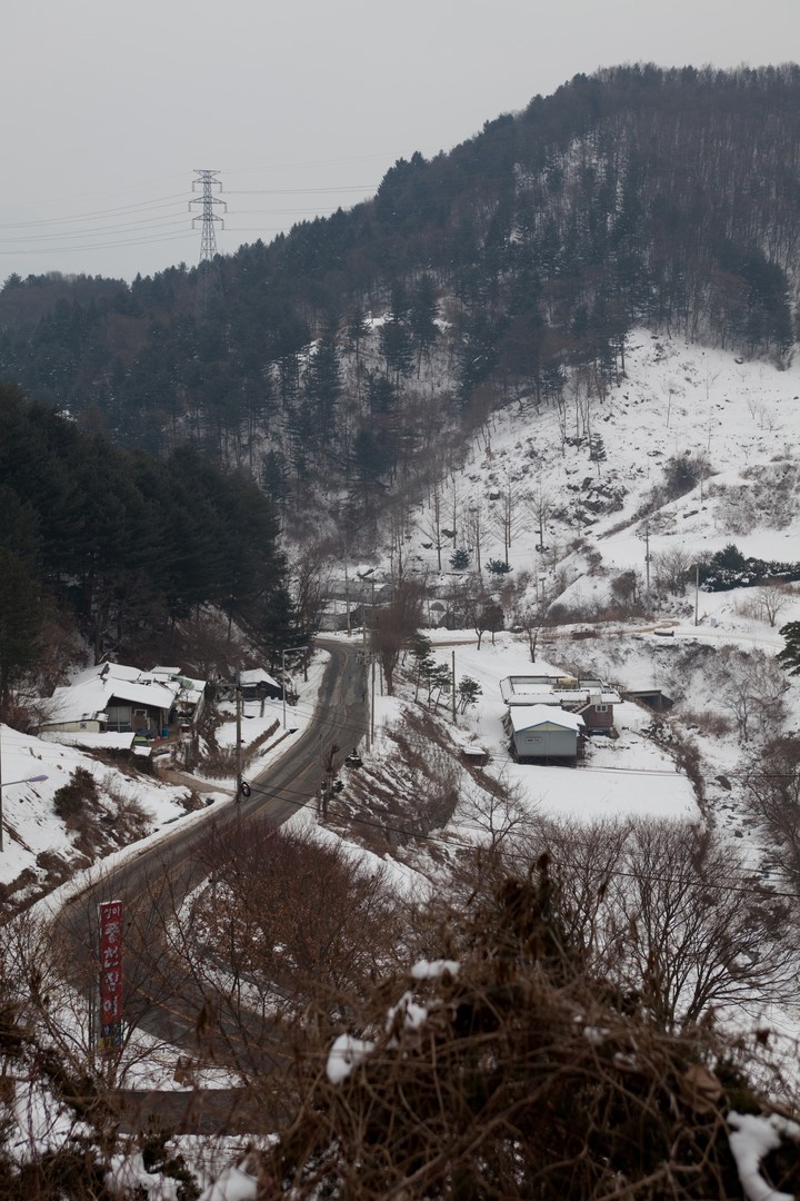 Winter