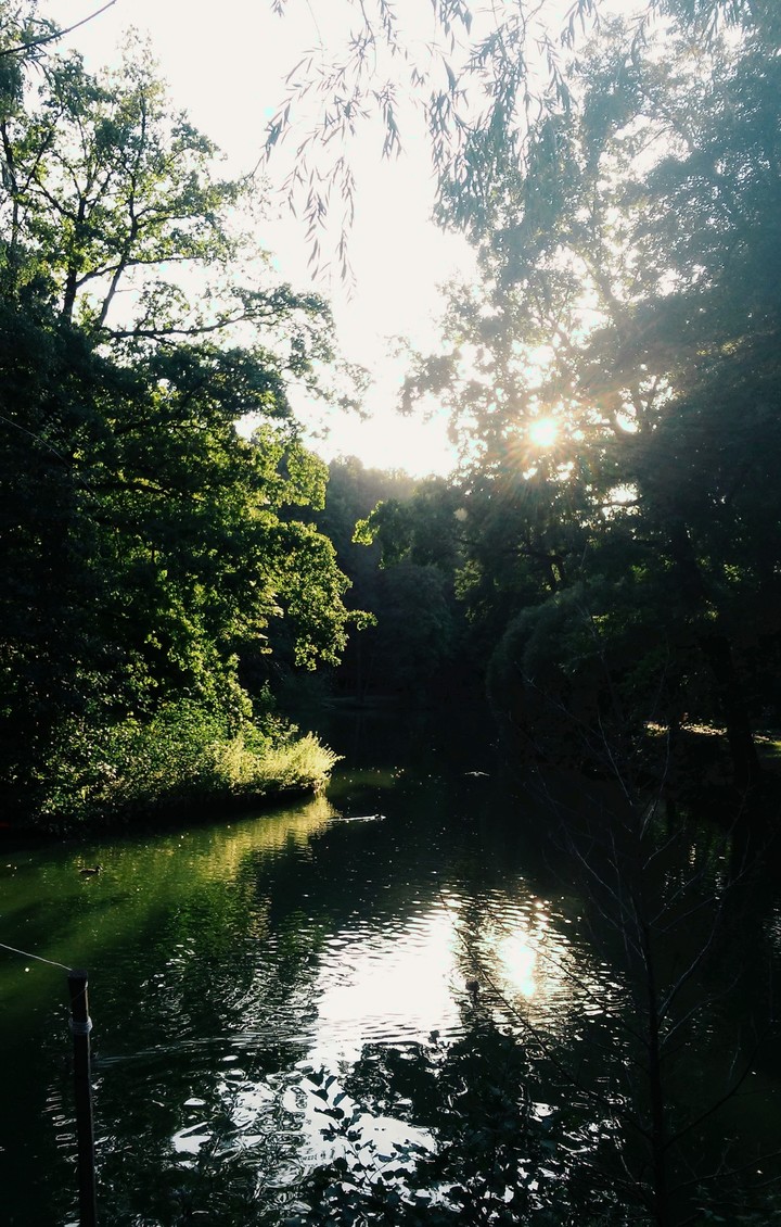River in park