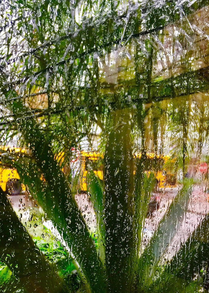 Drops