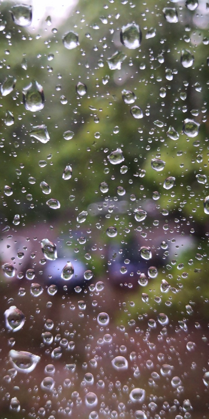 Rain Drops
