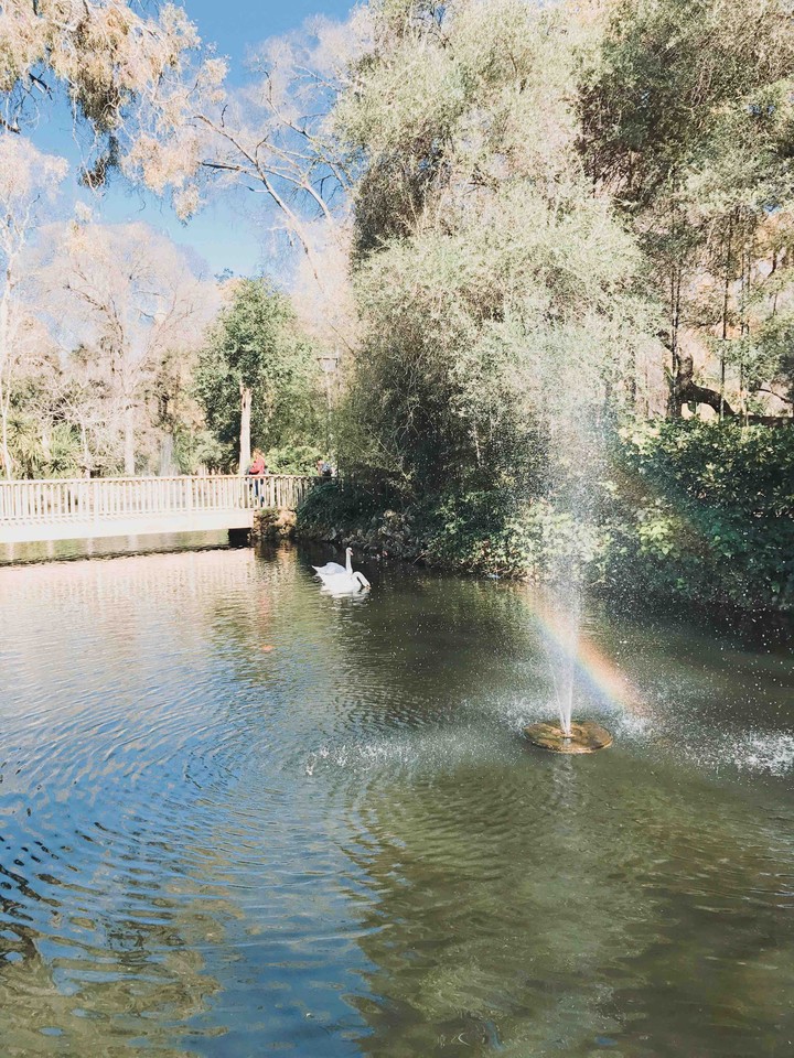 Maria Luisa park