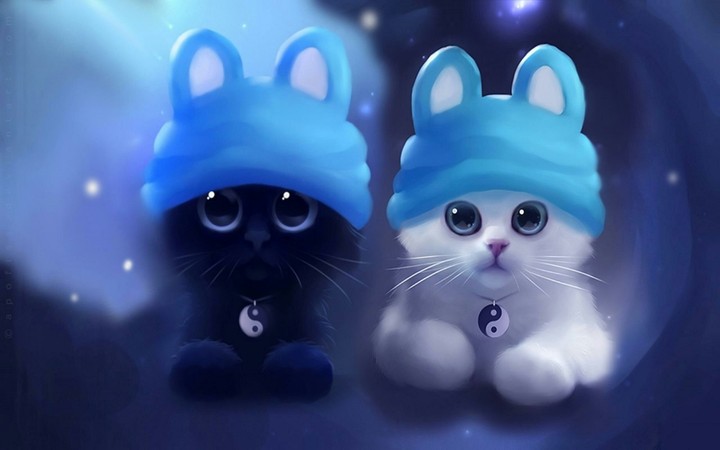 Black white kitten