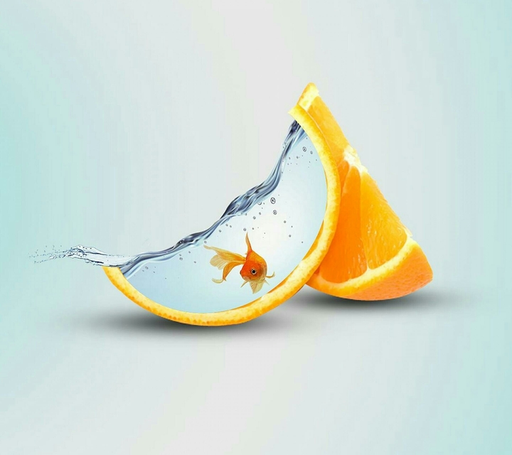 Abstract fish bowl