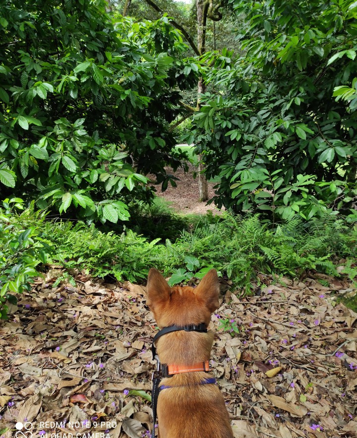 A Passage