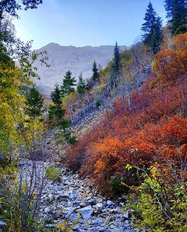 The Mountain Pass