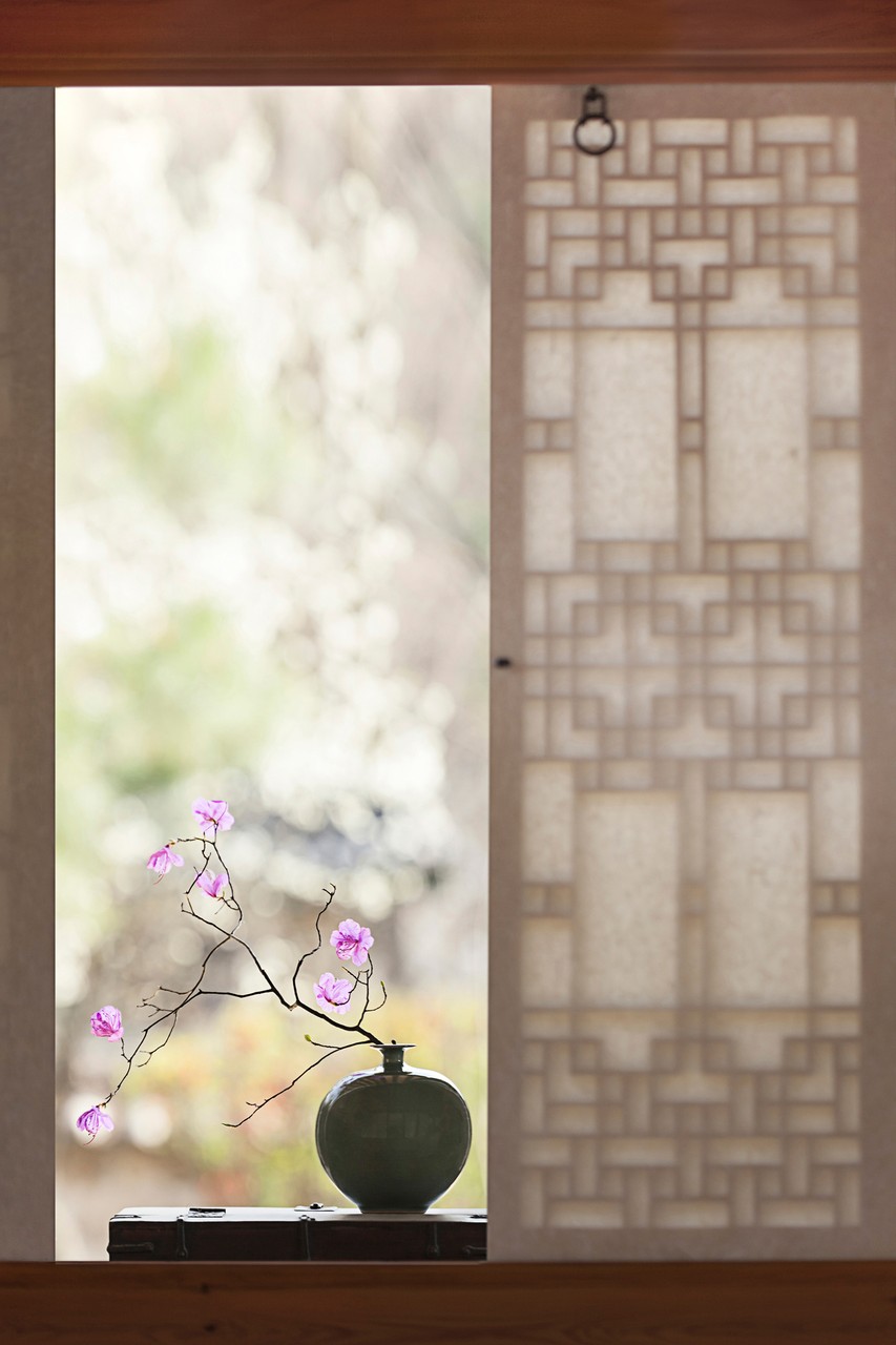 Flower in Korea