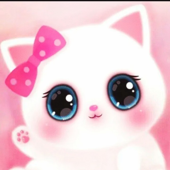 kawaii cat