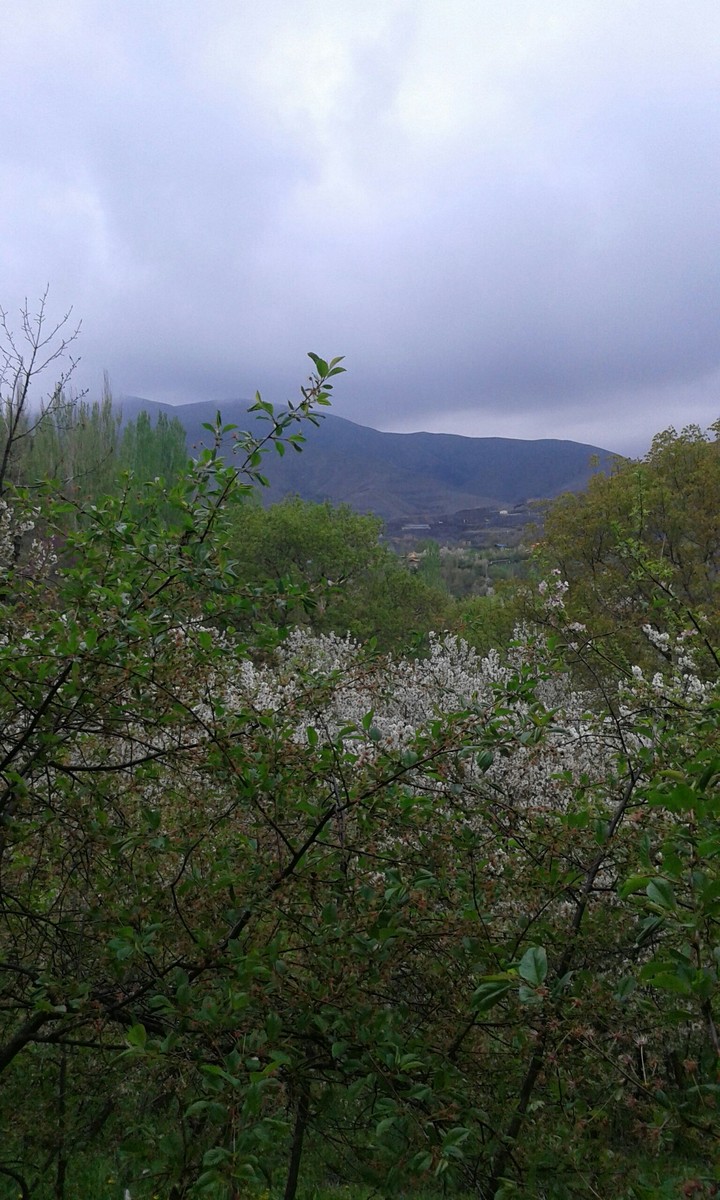 rainy