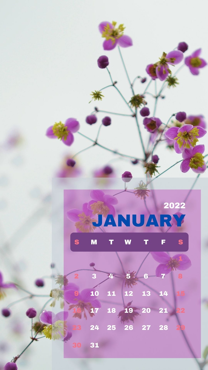 January calendar