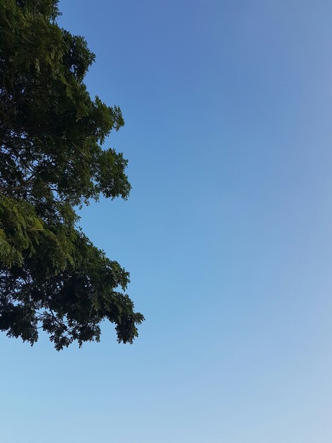 cielo