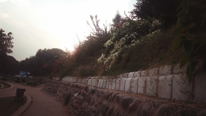 The sunset!