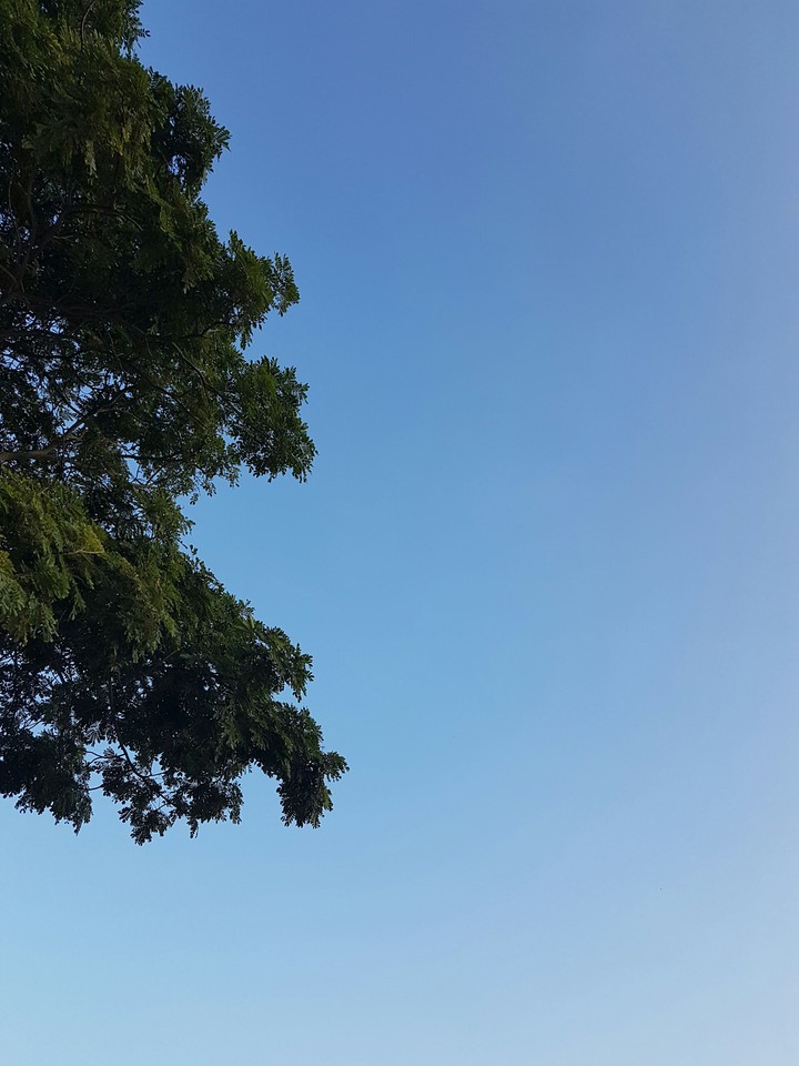 cielo