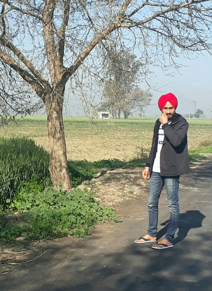 Sardari