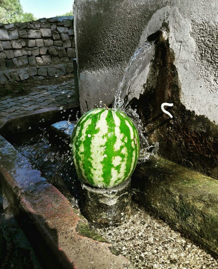 Yaz günü