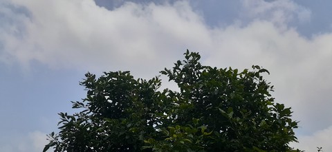 LoVeNature?☁️