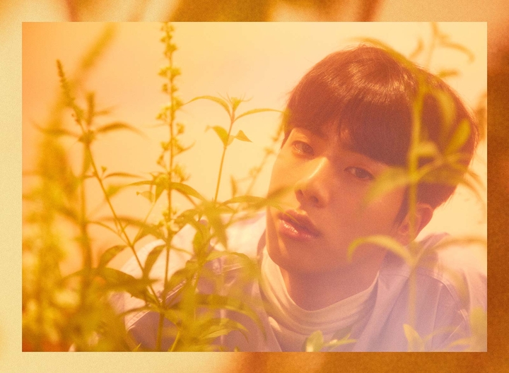 Jin