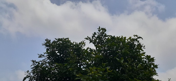 LoVeNature?☁️