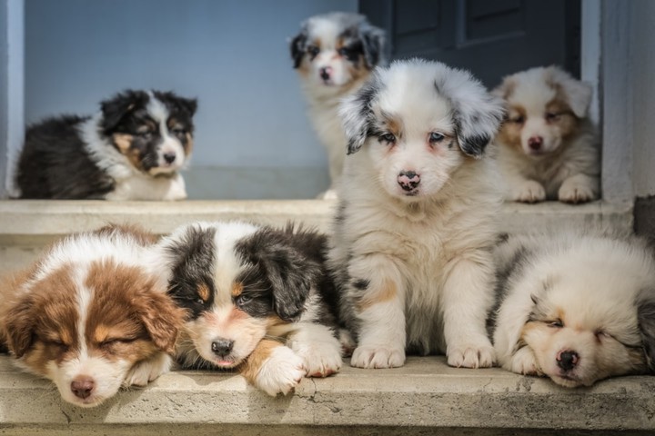 very cute picture...