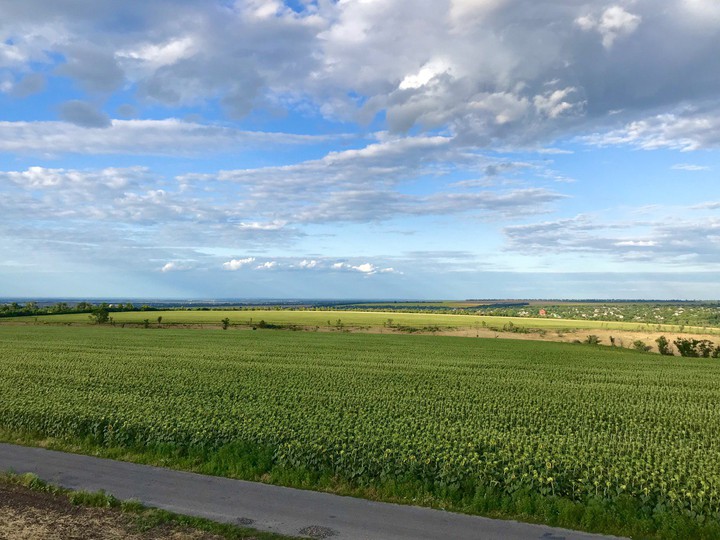 Countryside