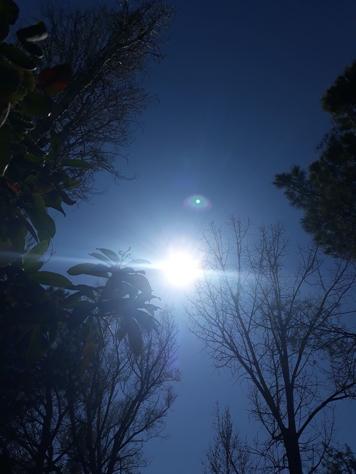 sunlight