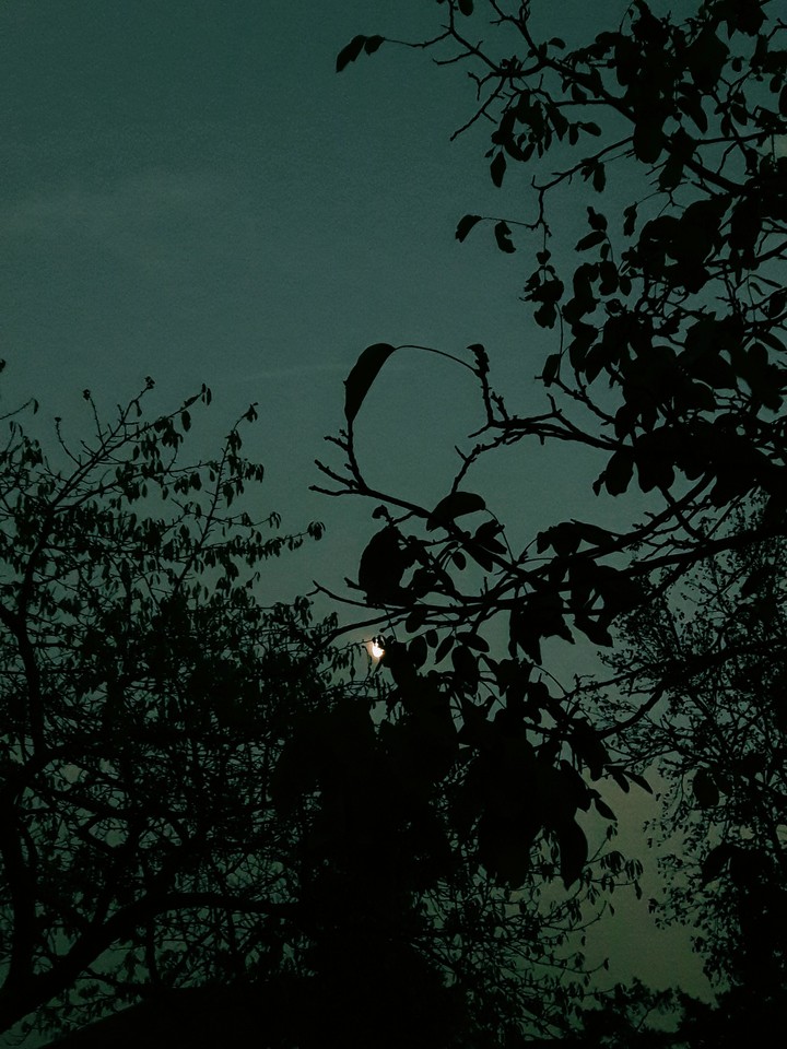 moon