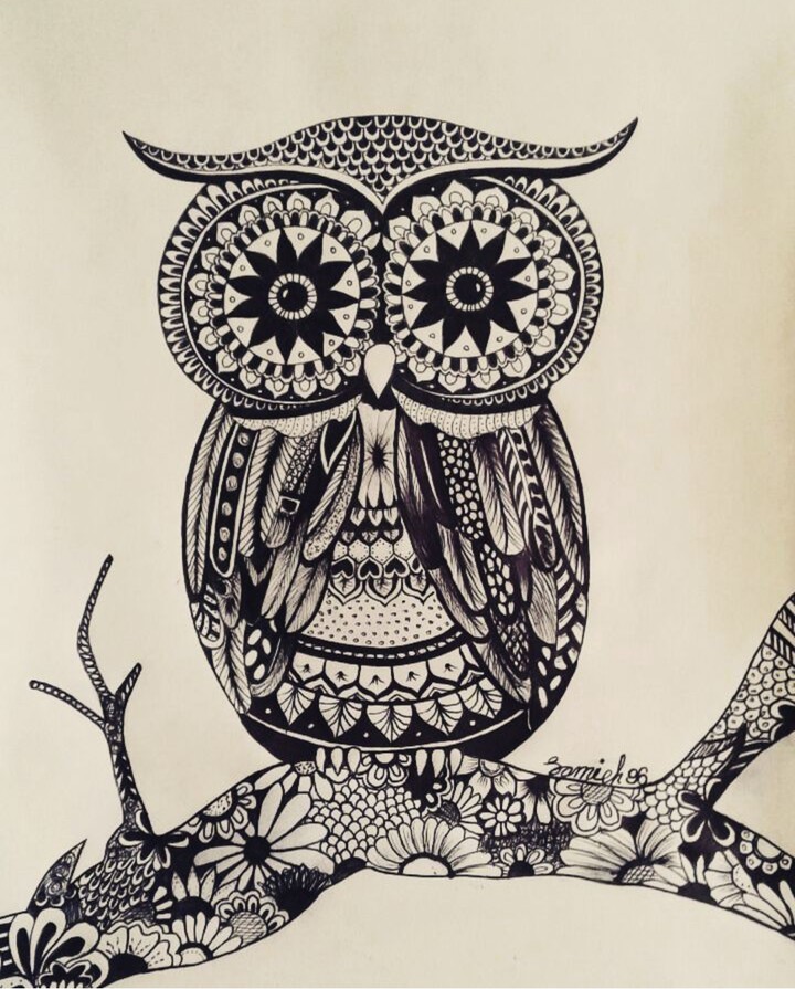 owl darw by iranian girl