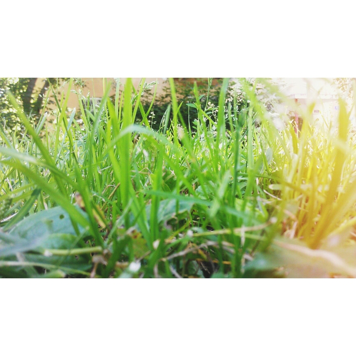 summer