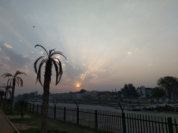 Morning