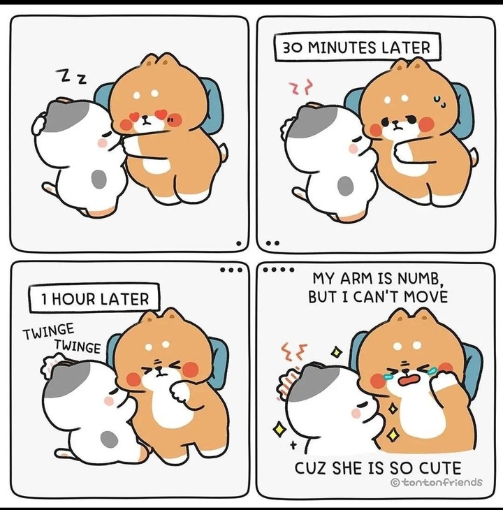 .