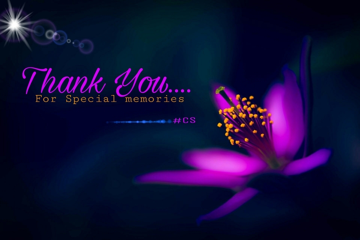 thank you.... forever