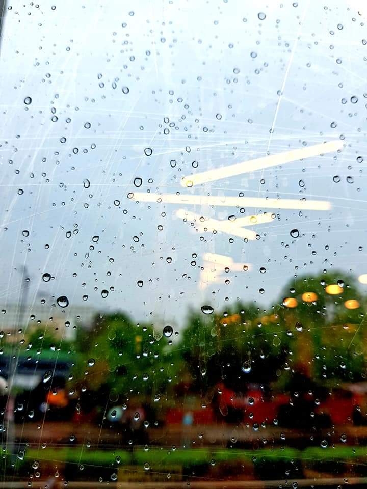 Rains