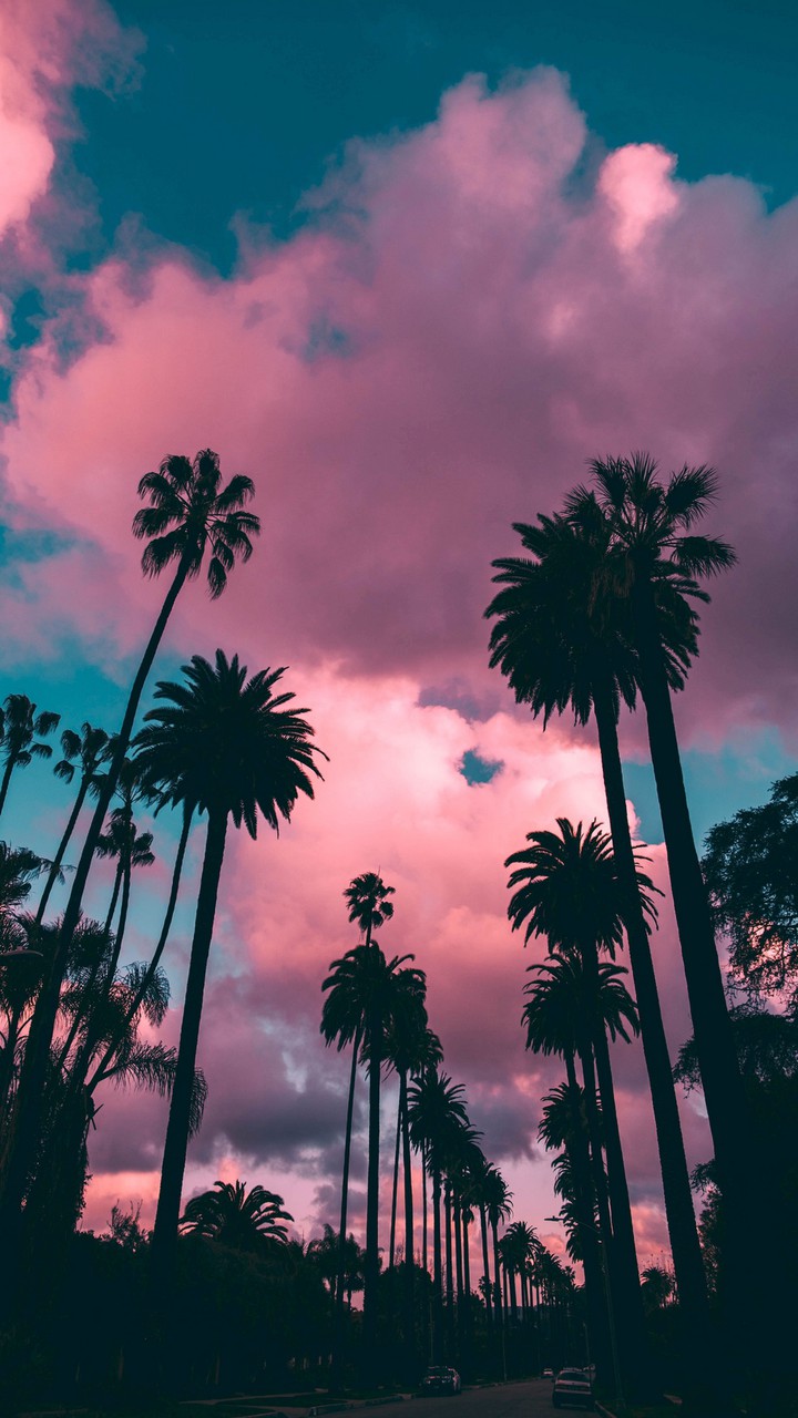 night sky