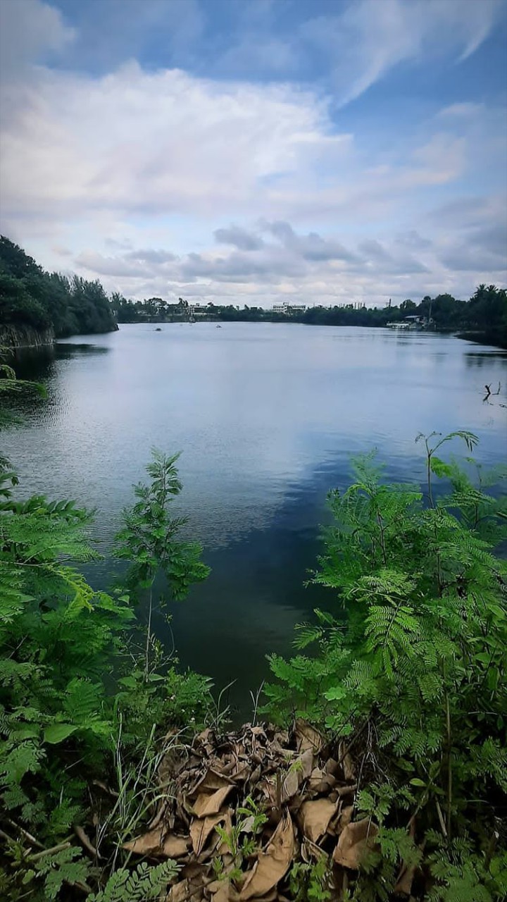 pashan lake