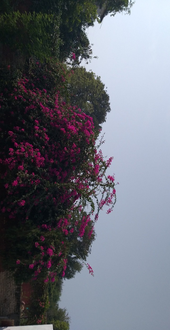 Nature