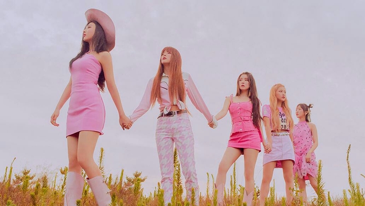 Red Velvet*