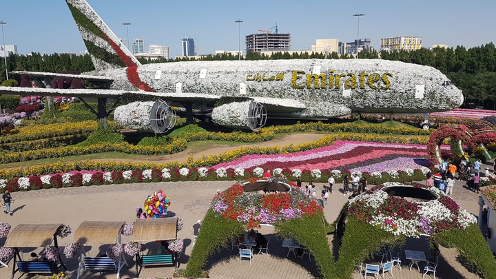Miracle Garden