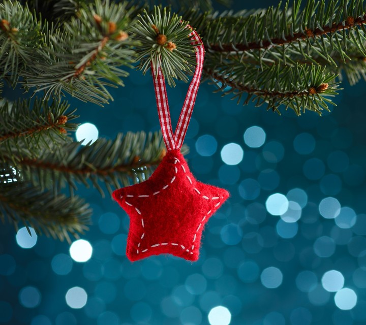 la estrella de la navidad