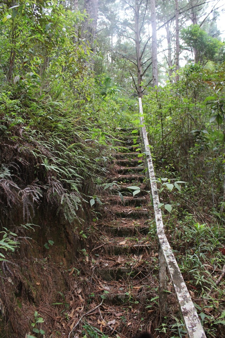 Nature