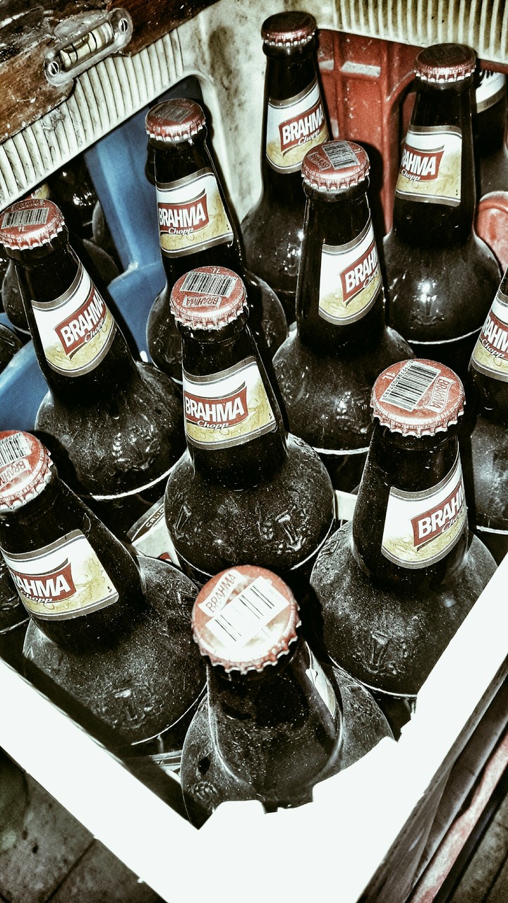 beer brahma