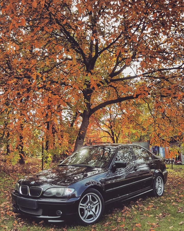 autumn