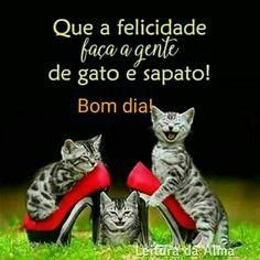 Aos amigos do coração bjs.