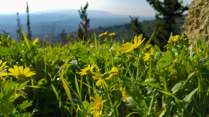Breath of nature