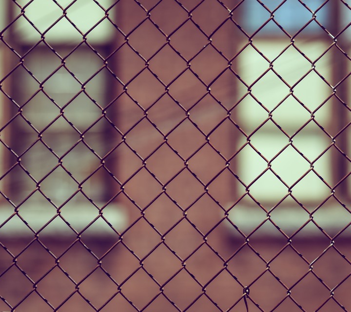 fencing