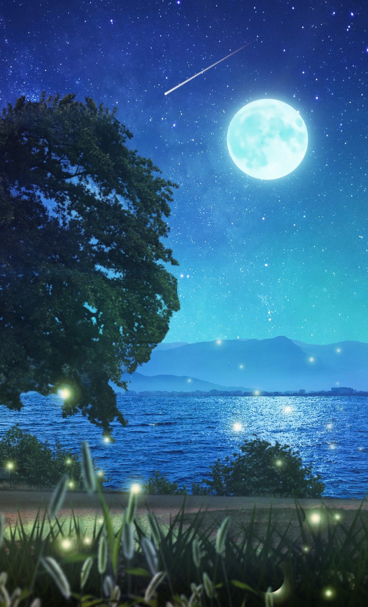 Night sea
